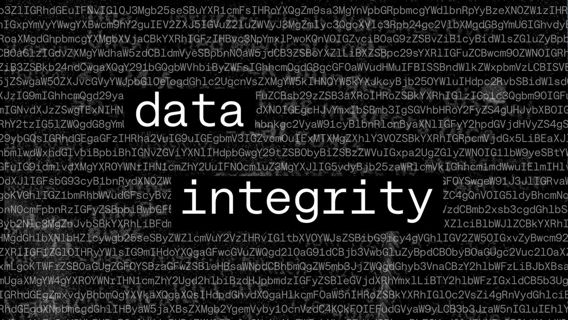 Data Integrity